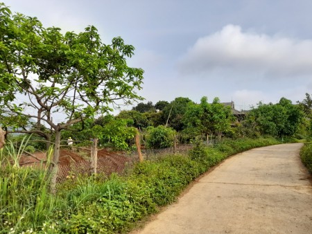 Đón đầu cao tốc Hòa Bình-Sơn La bán đất đẹp Mộc Châu view nhìn toàn cảnh thị trấn Mộc Châu