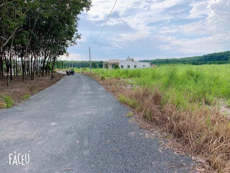 Bán lô đất chính chủ diện tích sử dụng 300m2 tại Bình Phước giá Chỉ 300 triệu, sổ hồng riêng
