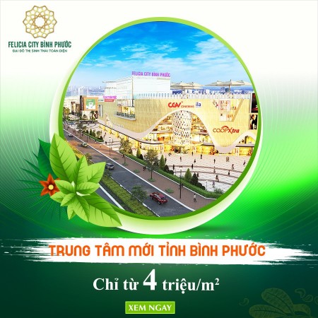 Đi đến slide 7