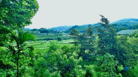 Siêu Phẩm nghỉ dưỡng cho các nhà đầu tư hơn 3600m có thổ cư tại Lương Sơn , Hòa Bình