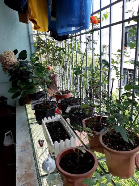 Bán nhà nguyên căn vị trí đẹp, ngập tràn tiện ích, ô tô chạy vòng quanh, kinh doanh thuận tiện