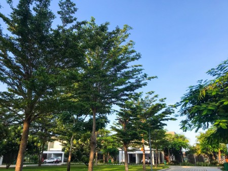Đi đến slide 7