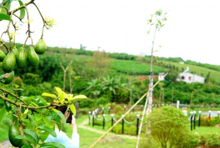Đi đến slide 4