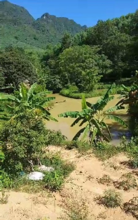 Đi đến slide 7