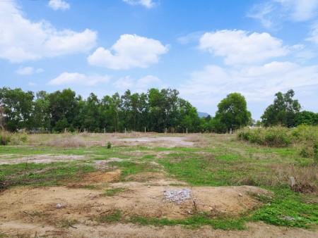 Cần bán gấp lô đất thổ cư ngay Suối Nhum gần trung tâm Hắc Dịch đã lên sẵn 100m2 thổ cư