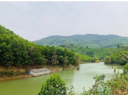 Đi đến slide 5