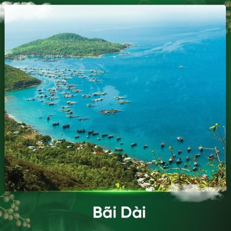 Đi đến slide 13