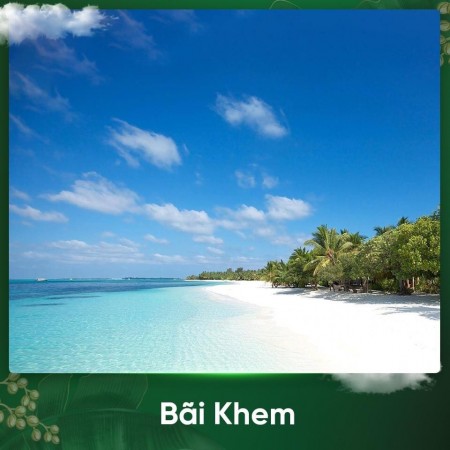 Đi đến slide 11
