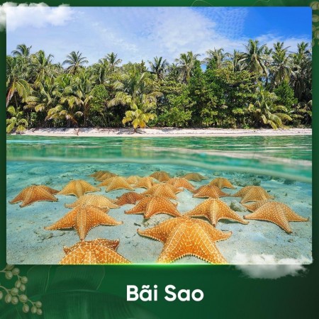 Đi đến slide 9