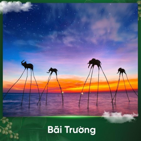 Đi đến slide 8