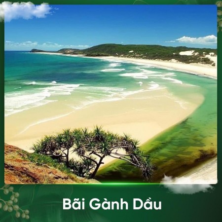 Đi đến slide 7