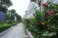 Bán nhà mặt phố Tân Mai, diện tích sử dụng 93m2 giá đất chỉ 8 tỷ đồng, pháp lý rõ ràng