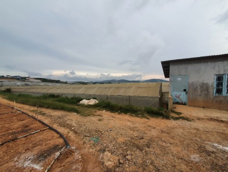 Đi đến slide 9