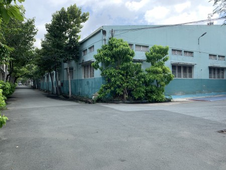 Đi đến slide 6