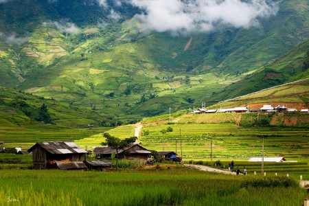 Đi đến slide 2