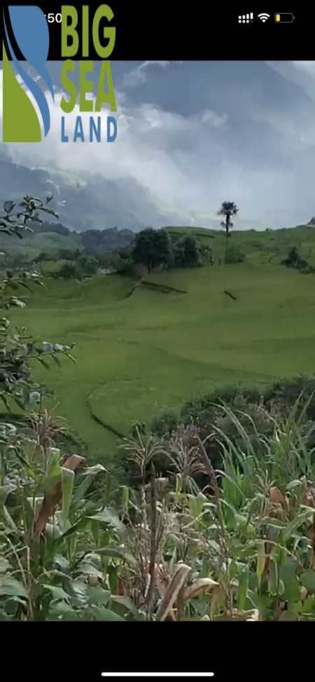 Bán mảnh đất Phan Cán Sử - Y Tý (Sapa 2) Độ cao 2000m có View săn mây lý tưởng.