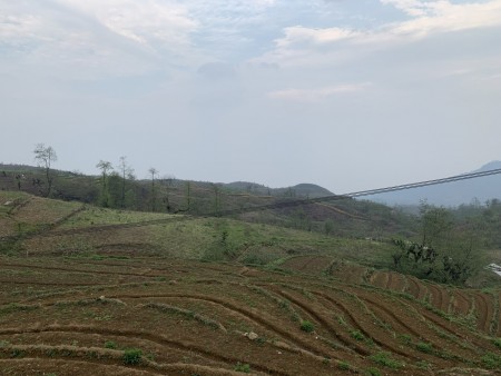 Bán mảnh đất có sổ Hồng view ruộng bậc thang phù hợp xây khách sạn ở SaPa 2 Y Tý