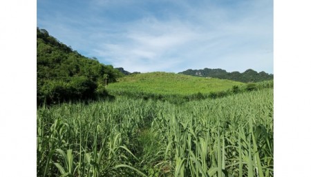 Đi đến slide 4