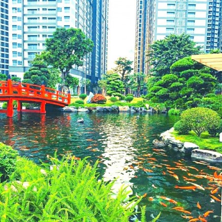 Đi đến slide 13