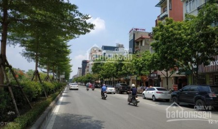 Chung cư mini doanh thu mỗi tháng 100 triệu, thư về bán giá siêu mềm, vị trí đắc địa,