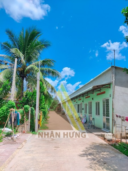 Đất nền Vip đầu tư, kinh doanh ngay chợ Tân Hưng, cách quốc lộ chỉ 70m, sổ sẵn chính chủ