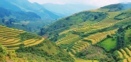 Bán gấp lô đất khu vực săn mây đẹp nhất Y Tý Sapa 2 Lào Cai giá đầu tư mùa covid