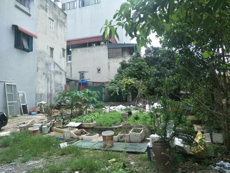 Bán đất phố Thạch Bàn 300m2 mặt tiền 15m giá 19 tỷ, đầu tư giữ tiền, chia lô, xây tòa nhà.