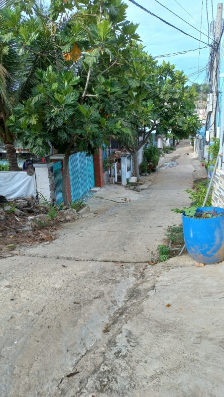 Chính chủ cần bán gấp lô đất tổ 1, thôn Vĩnh Thành, xã Vĩnh Phương