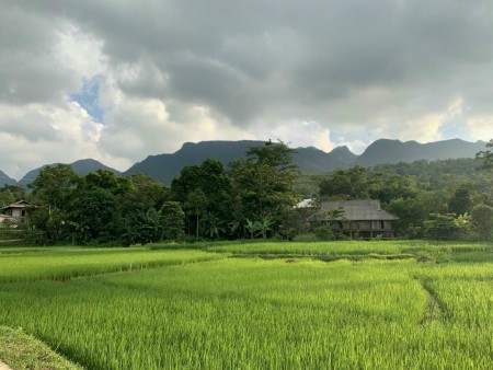 Đi đến slide 8