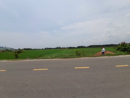 Cần bán đất mặt tiền Võ Văn Điều xã Trung Lập Thượng đường lộ lớn 20m diện tích 500m2 có 100 thổ cư