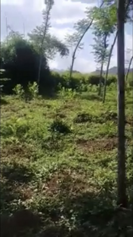 Siêu Phẩm 3200m2 đất có thổ cư tại Tân Lạc Hòa Bình, liên hệ xem đất 0833066663