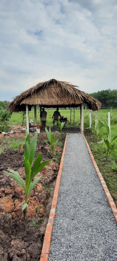 Đi đến slide 3
