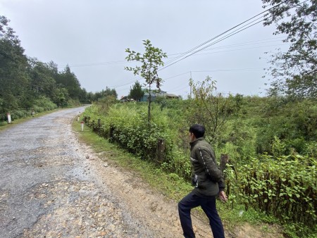 Đi đến slide 3