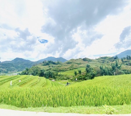 Đi đến slide 6