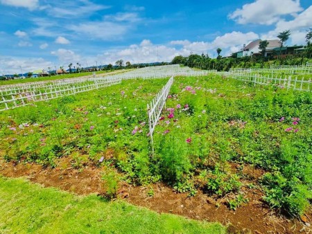 Cần bán gấp lô đất 6X30 ngay mặt tiền đường Hàm Nghi, giá 650tr/SHR