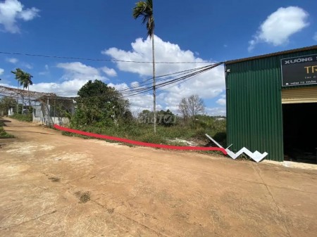 Cần bán Đất ở Trần Quý Cáp,Phường Tân Lập, Thành phố Buôn Ma Thuột, Đắk Lắk