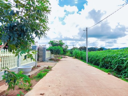 Bán Gấp lô Đất Tổ 32 thị trấn Liên Nghĩa Đức Trọng giá chỉ 950 triệu, khu dân cư đông đúc