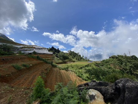 Đi đến slide 4