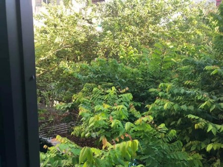 Bán Nhà Nguyễn Chính dtsd 90m2, mặt tiền 5m, giá chào 5,3 tỷ, dân trí cao an sinh đỉnh