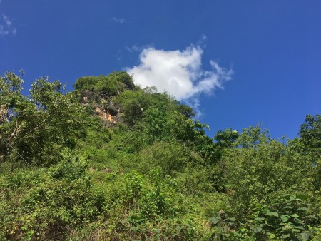 Đi đến slide 5