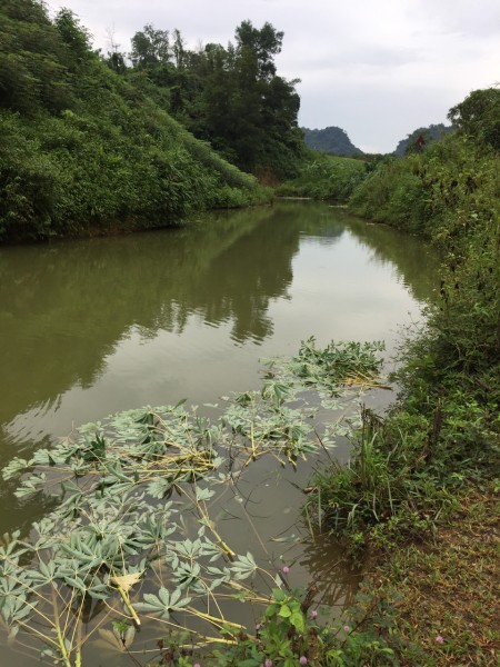 Đi đến slide 6