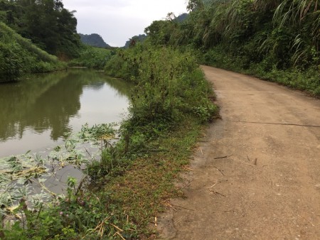 Đi đến slide 5