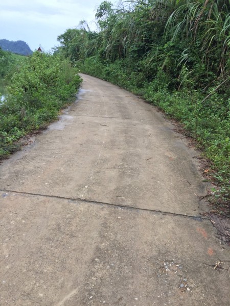 Đi đến slide 3