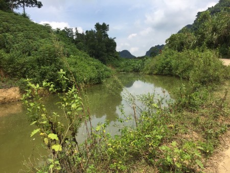 Đi đến slide 2