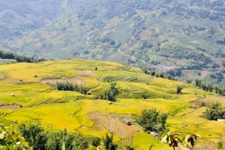 Đất nghỉ dưỡng Y TÝ- SAPA 2 cơ hội kiếm tiền nhanh cho các nhà đầu tư mùa dịch