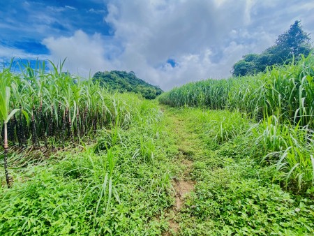 Đi đến slide 7