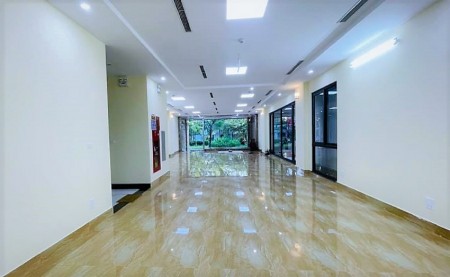 Bán nhà Cầu Giấy, phố Trần Duy Hưng vỉa hè, ô tô, kinh doanh dt 225m2 mt 11m giá 38 tỷ