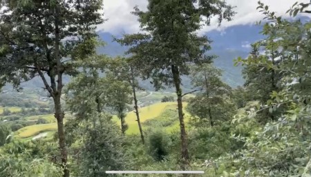 Mảnh đất Sa Pa 2 Y Tý view thung lũng săn mây, tiện ích đủ, giá bán thoả thuận sổ sẵn