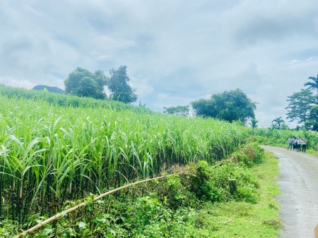 Đi đến slide 5