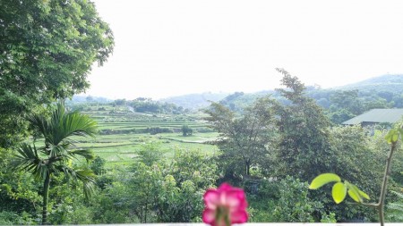 Bán siêu phẩm nghỉ dưỡng view cánh đồng diện tích 3634m có 400m thổ cư giá rẻ